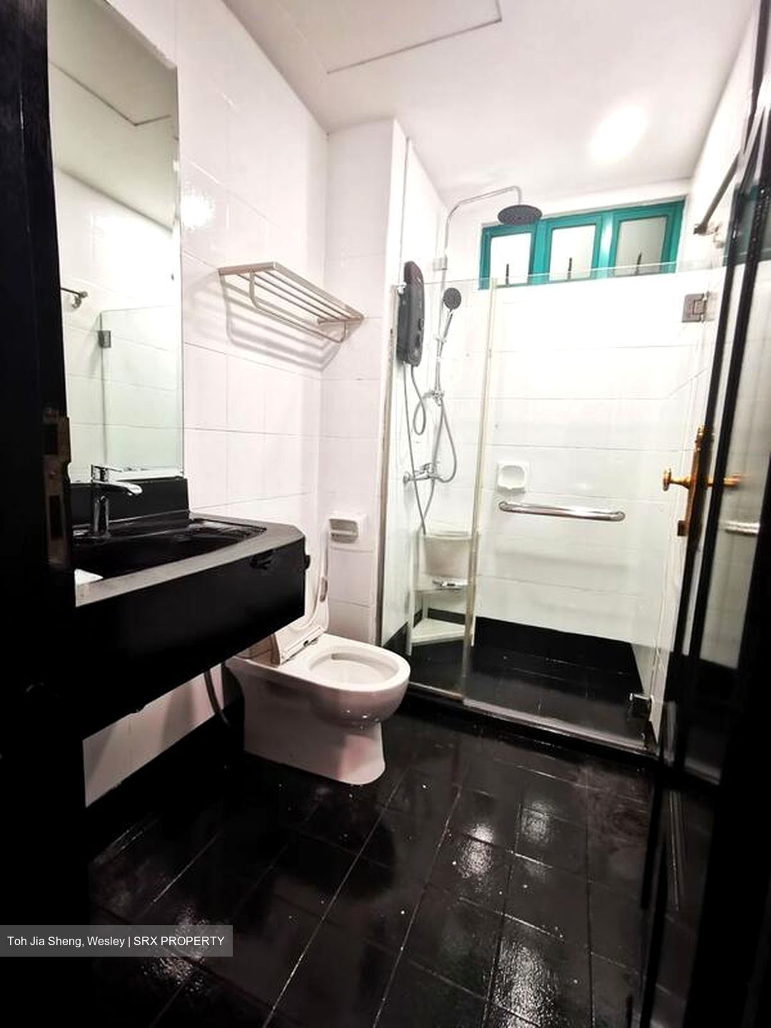 Fortune Park (D19), Condominium #498721951